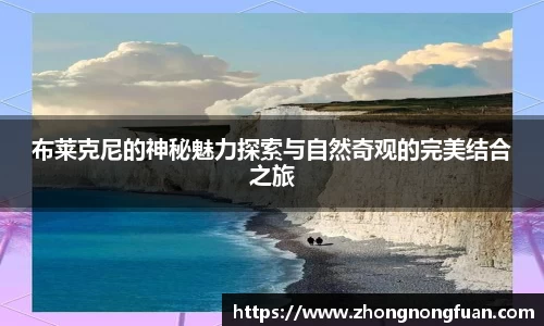 b体育