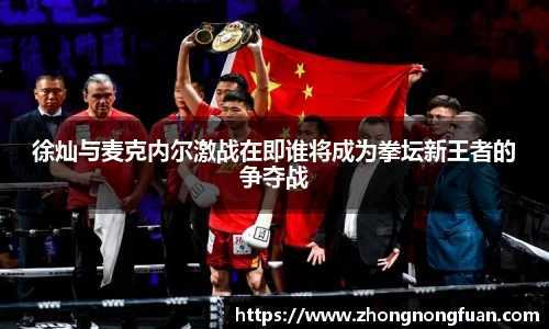 徐灿与麦克内尔激战在即谁将成为拳坛新王者的争夺战