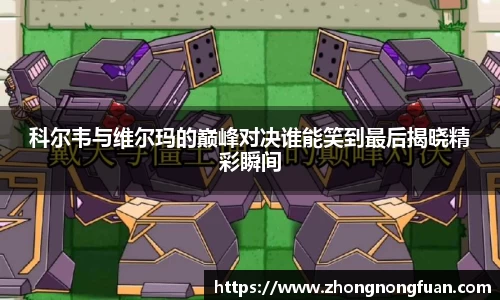 b体育
