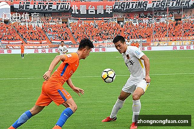 关于Bevictor伟德